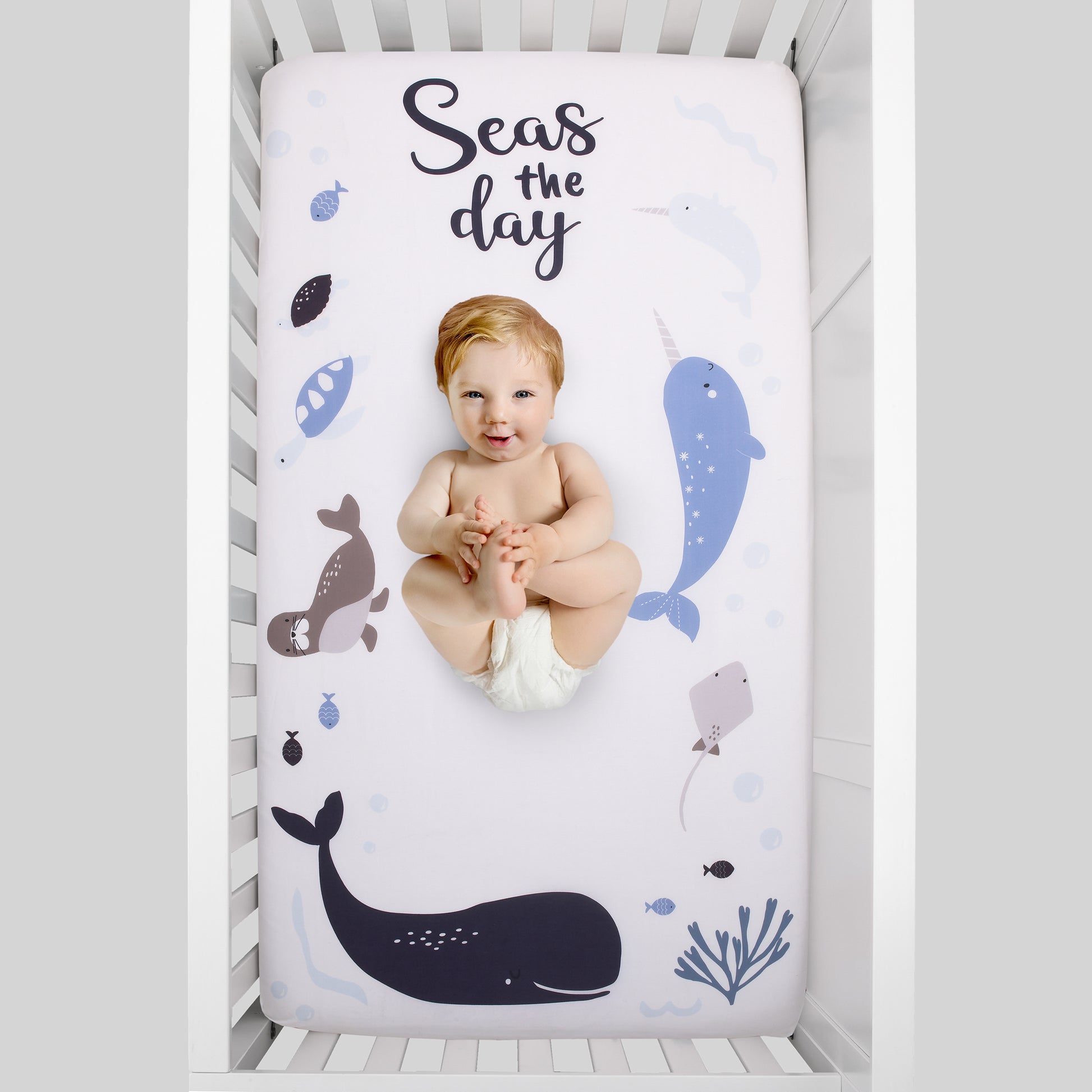 NoJo Seas The Day Multi Sea Animals Blue and White 100% Cotton Photo Op Fitted Crib Sheet