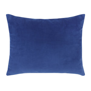 Marvel Spider-Man to the Rescue Blue and Red Plush Toddler Pillow