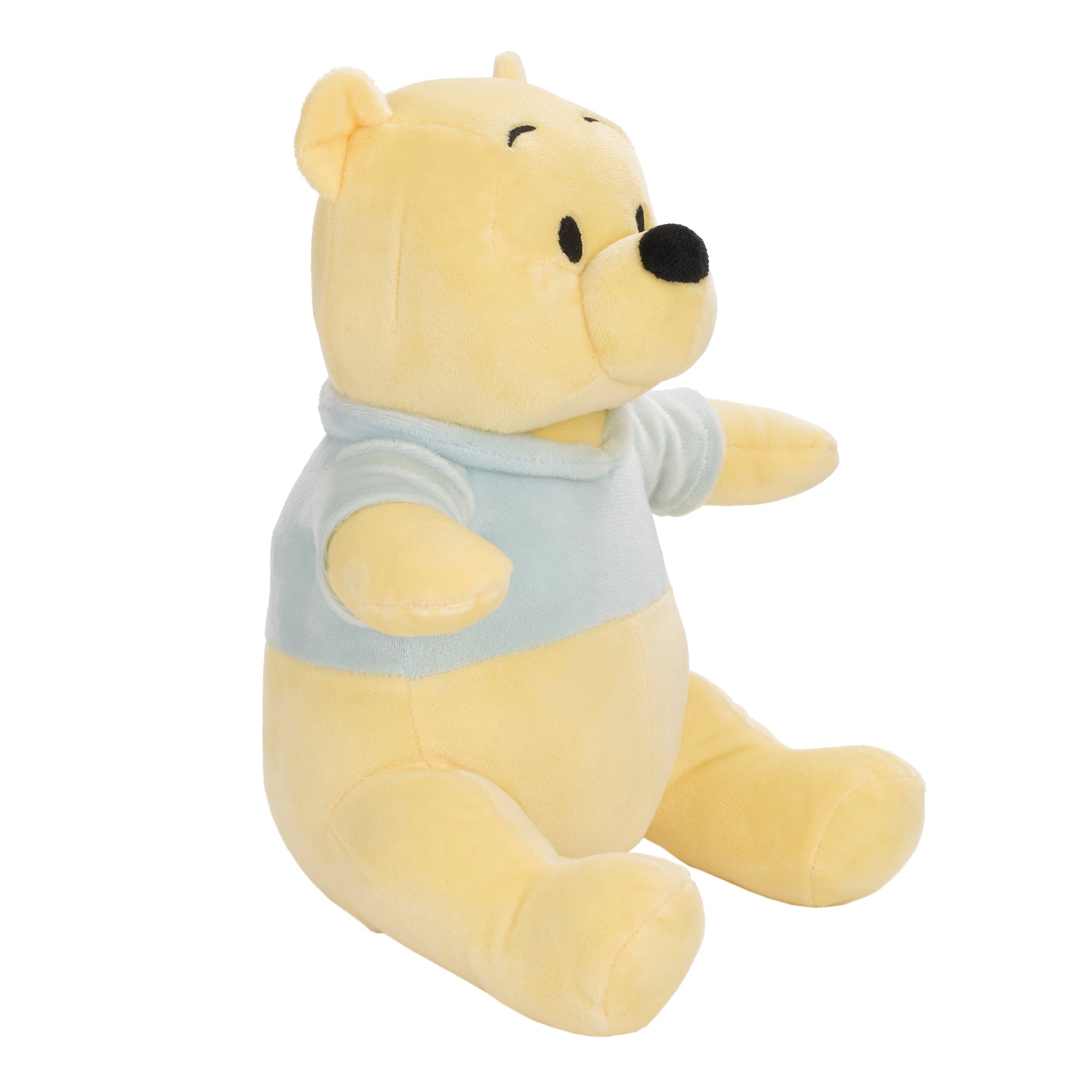 Winnie The Pooh Yellow and Aqua Plush