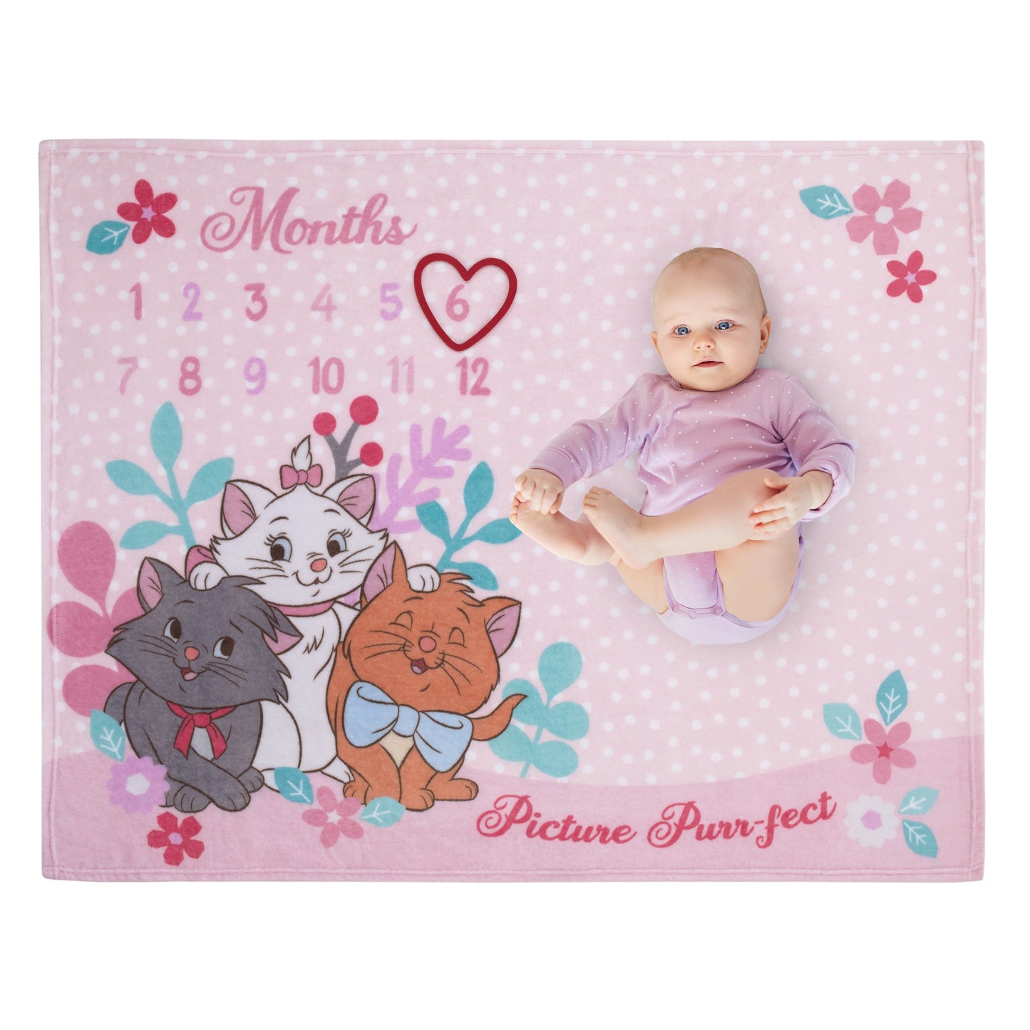 Disney Aristocats Pink Picture Purr-fect Super Soft Photo Op Milestone Baby Blanket