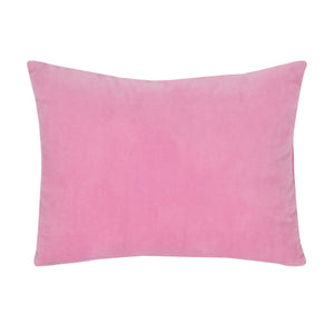 Disney Princesses Courage and Kindness Pink, Blue, Green and Yellow Ariel and Snow White, Tiana and Moana, Cinderella, and Jasmine Toddler Pillow