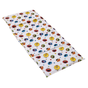 Come and Play Blue, Green, Red and Yellow, Elmo, Big Bird, Cookie Monster, Grover and Oscar the Grouch Preschool Nap Pad Sheet