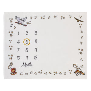 Warner Bros  Harry Potter Magical Moments White and Gold Milestone Baby Blanket