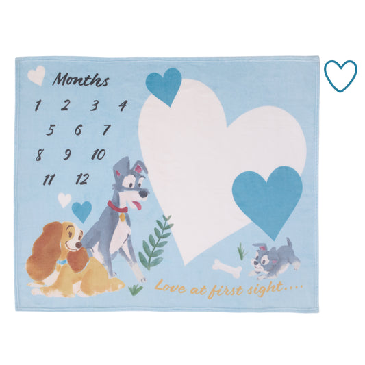 Disney Lady & the Tramp Blue, White, and Gold Love At First Sight Super Soft Photo Op Milestone Baby Blanket