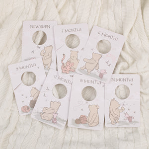 Disney Classic Winnie the Pooh Ivory, Tan, and Sage Nursery Baby Closet Dividers - Set of 7 Newborn to 24 Months