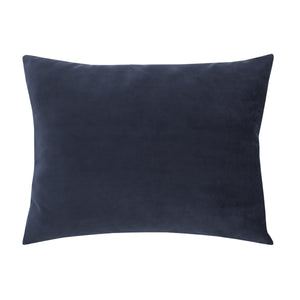 Star Wars Welcome to the Galaxy Navy and Gray R2-D2, You R2 Cute Decorative Toddler Pillow