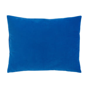 Sesame Street Come and Play Blue, Green, Red and Yellow, Elmo, Big Bird, Cookie Monster, Grover, Oscar the Grouch and Ernie - Decorative Toddler Pillow