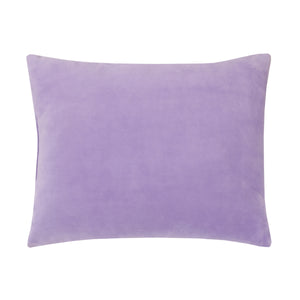 Disney Minnie Mouse I am Awesome Lavender and Pink, Figaro Plush Decorative Toddler Pillow