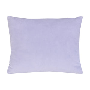 Disney Frozen Winter Cheer Lavender, Aqua and White Elsa Decorative Toddler Pillow