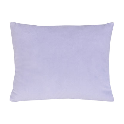 Disney Frozen Winter Cheer Lavender, Aqua and White Elsa Decorative Toddler Pillow