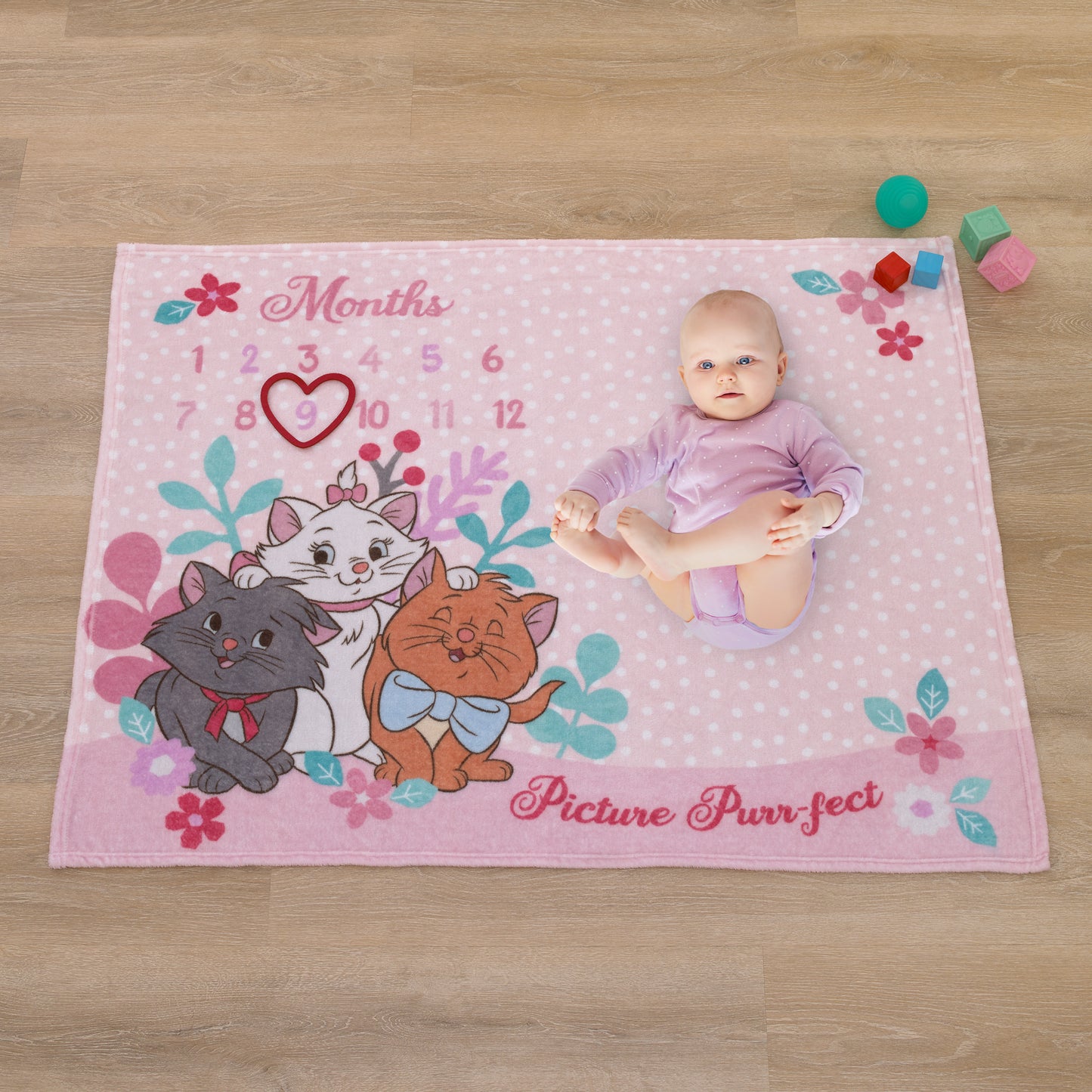 Disney Aristocats Pink Picture Purr-fect Super Soft Photo Op Milestone Baby Blanket