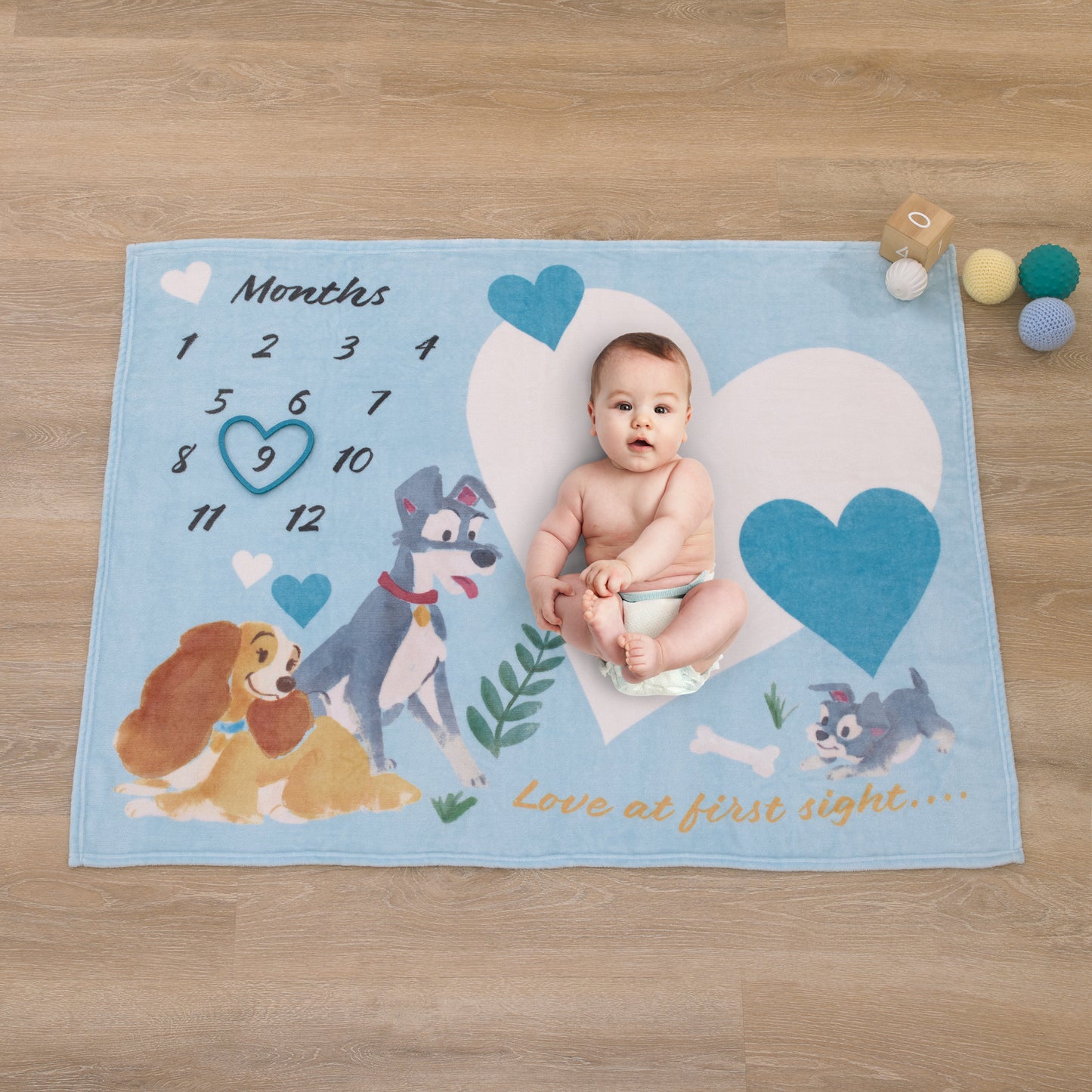 Disney Lady & the Tramp Blue, White, and Gold Love At First Sight Super Soft Photo Op Milestone Baby Blanket