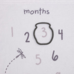 Disney Classic Winnie The Pooh, White, Grey and Lime Super Soft Milestone Baby Blanket