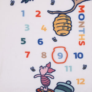 Disney Winnie the Pooh White, Blue, and Yellow Sweet As Can Bee Super Soft Photo Op Milestone Baby Blanket